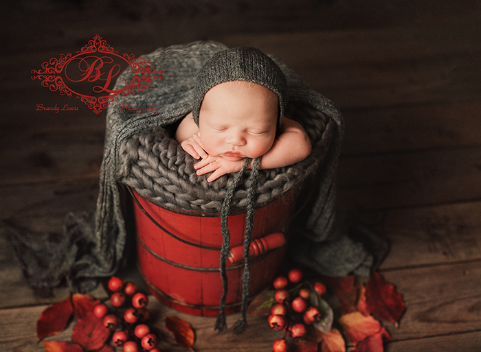 East Bay Area Newborn Baby Photographer