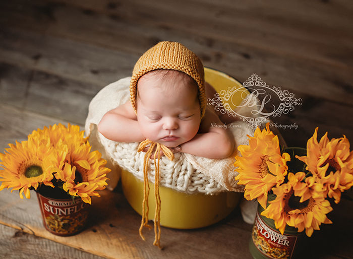 East Bay Area Newborn Baby Photographer