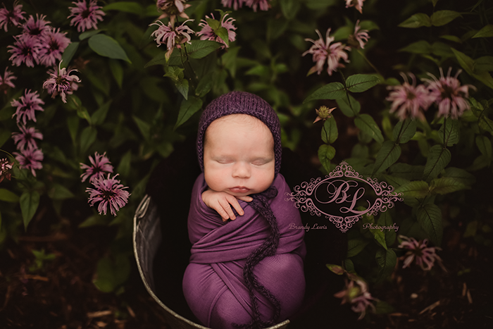 East Bay Area Newborn Baby Photographer