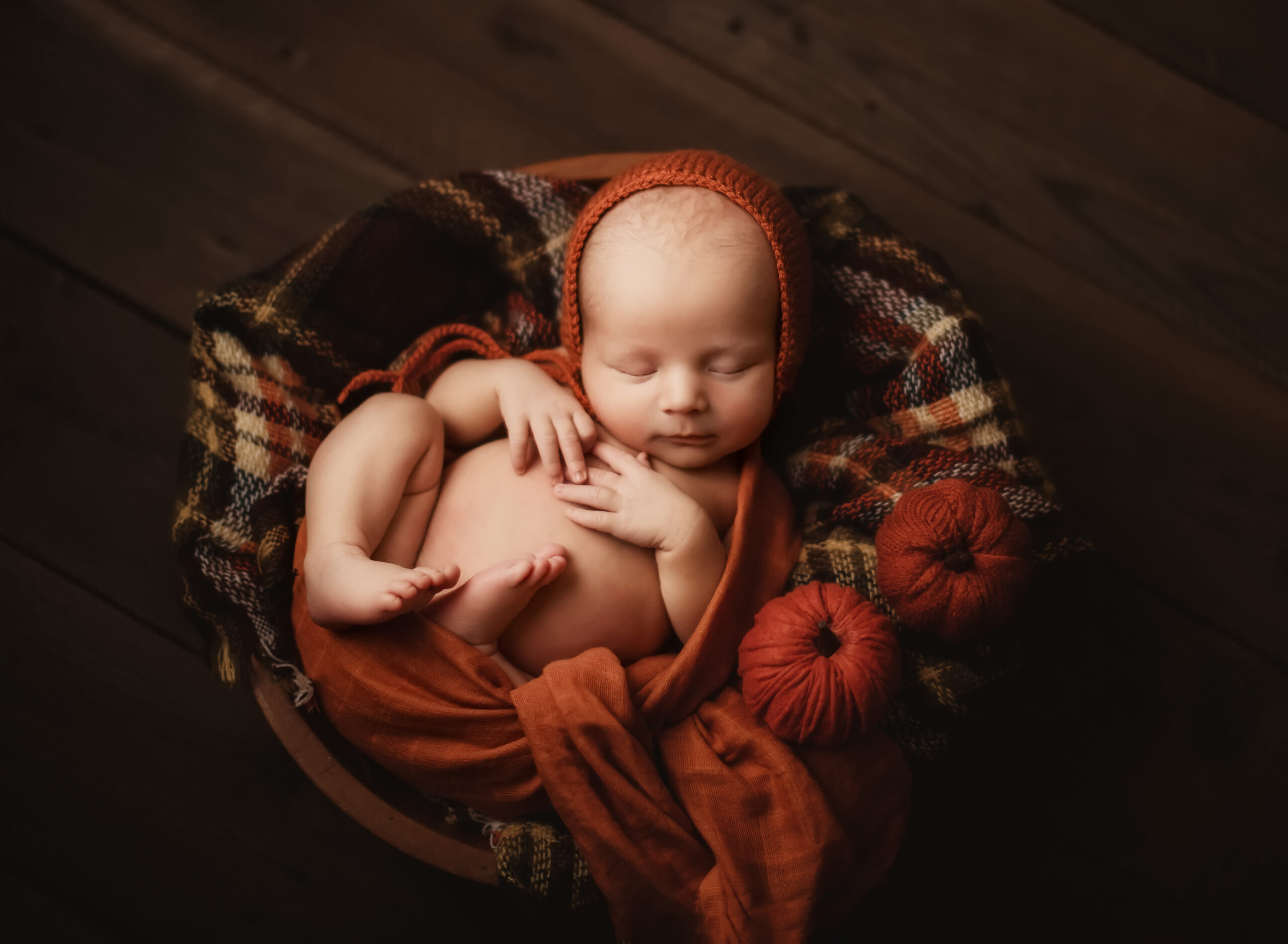 East Bay Newborn Photographer