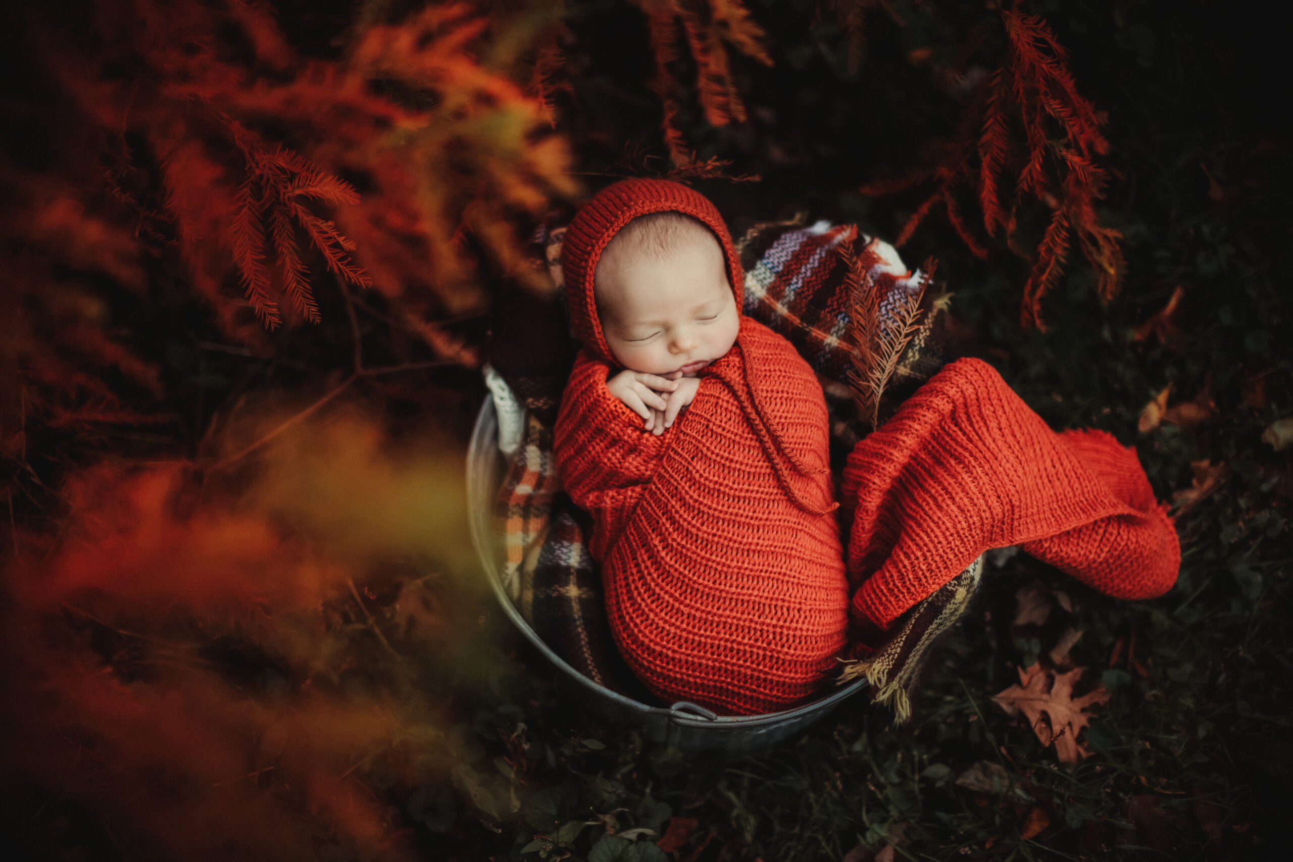 East Bay Newborn Photographer