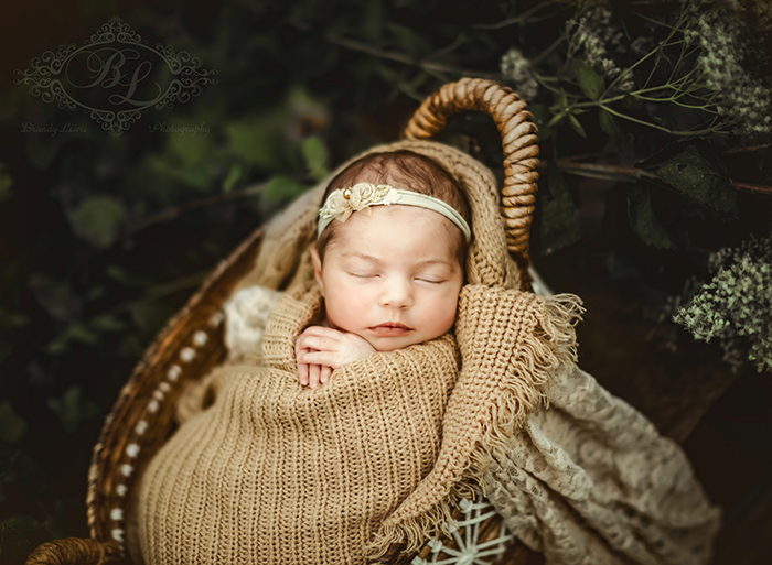 Bay Area Newborn Baby Photographer