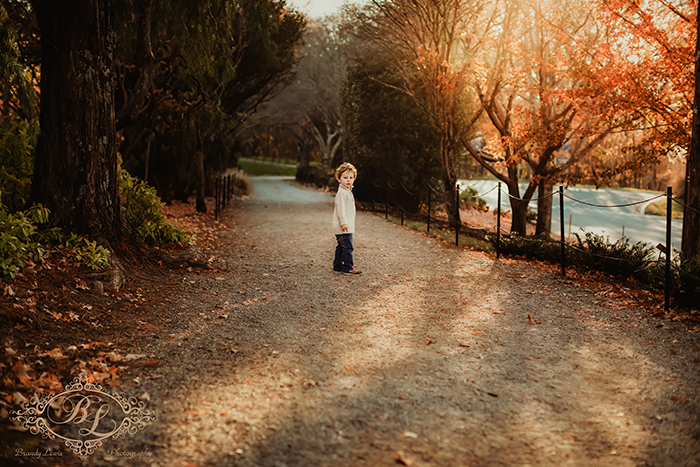 Bay Area Newborn Baby Photographer