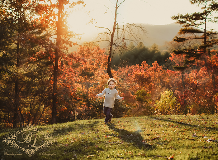 Bay Area Newborn Baby Photographer