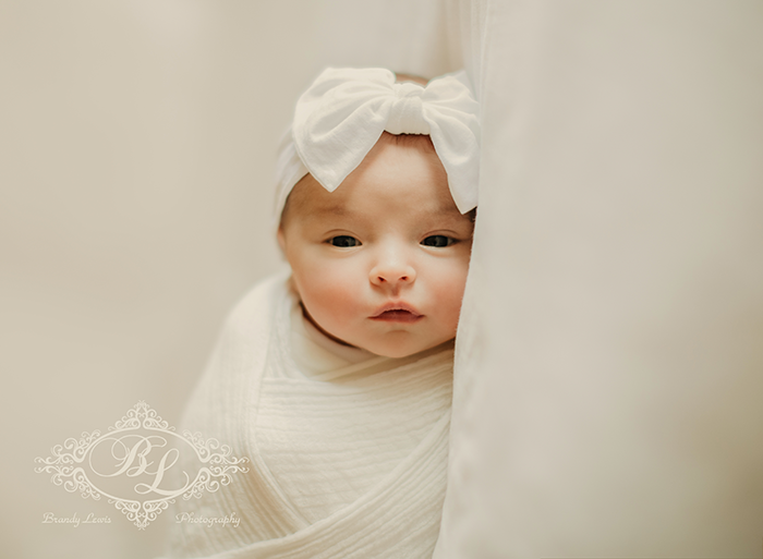 Bay Area Newborn Baby Photographer