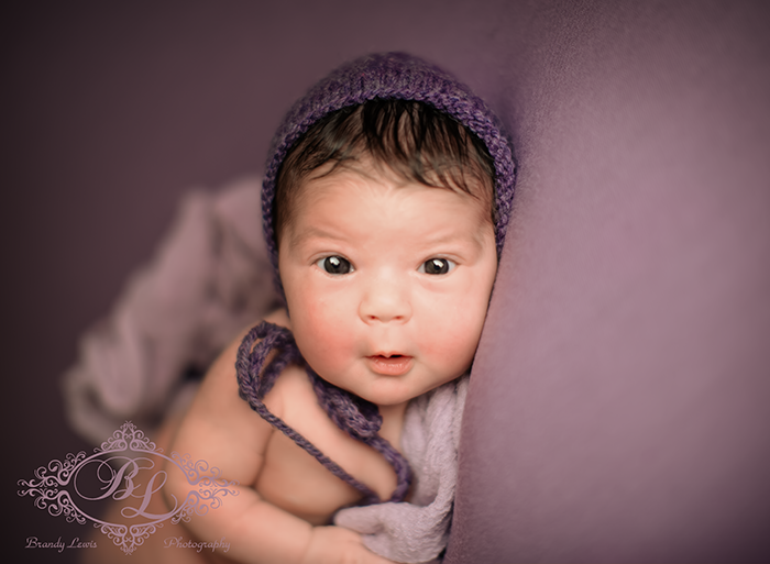 Bay Area Newborn Baby Photographer