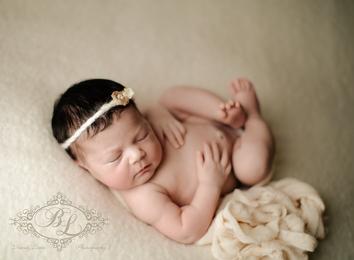 Bay Area Newborn Baby Photographer