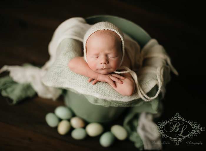 Bay Area Newborn Baby Photographer