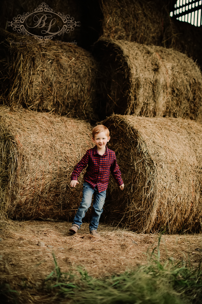 Bay Area Newborn Baby Photographer