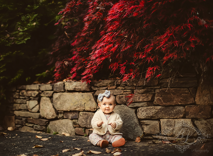 Bay Area Newborn Baby Photographer