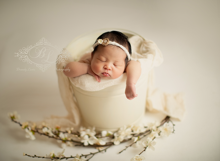 Bay Area Newborn Baby Photographer