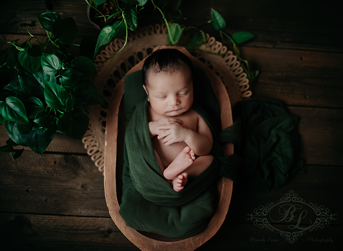 Bay Area Newborn Baby Photographer