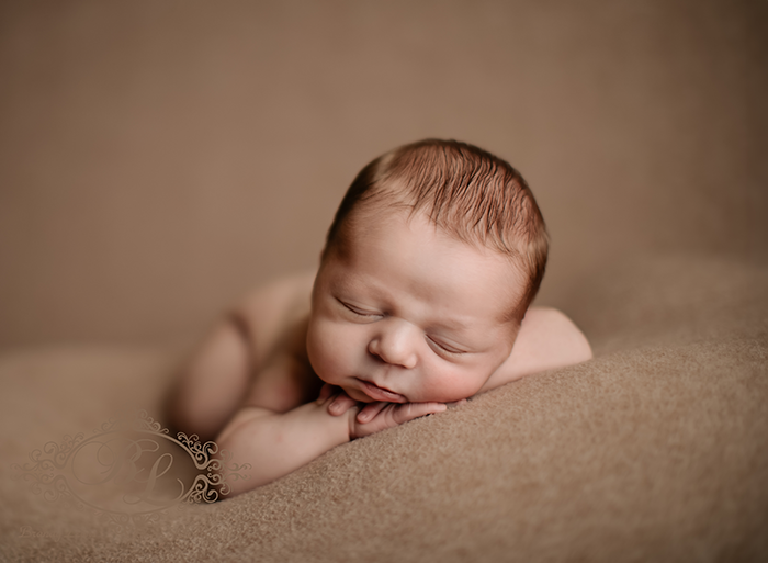 Bay Area Newborn Baby Photographer