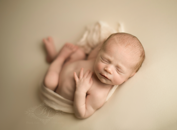 Bay Area Newborn Baby Photographer