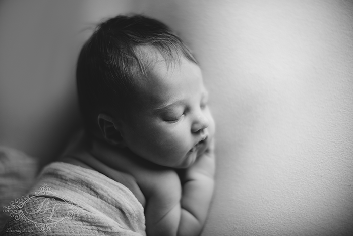 Bay Area Newborn Baby Photographer