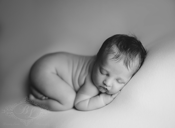 Bay Area Newborn Baby Photographer