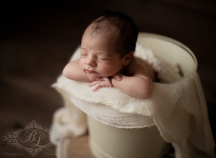 Bay Area Newborn Baby Photographer