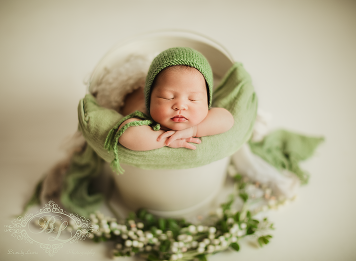 East Bay Area Newborn Baby Photographer