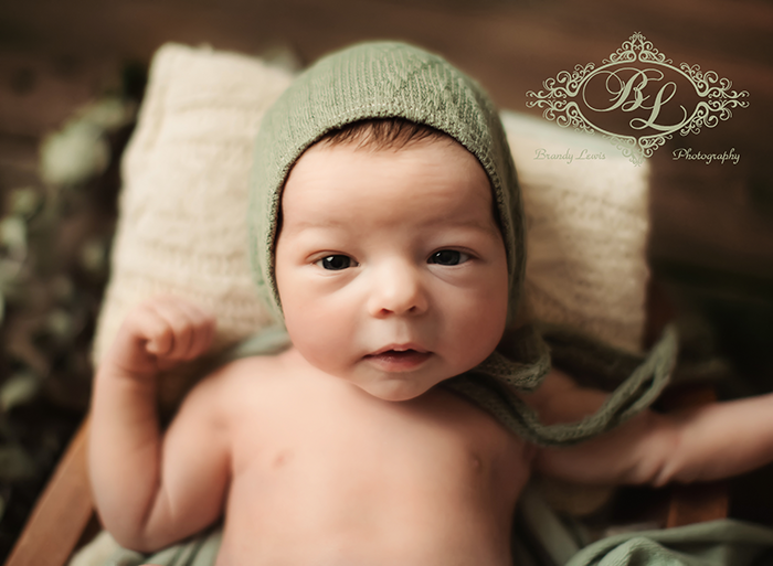 East Bay Area Newborn Baby Photographer