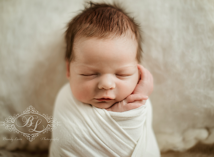 East Bay Area Newborn Baby Photographer