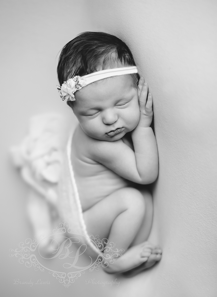 East Bay Area Newborn Baby Photographer