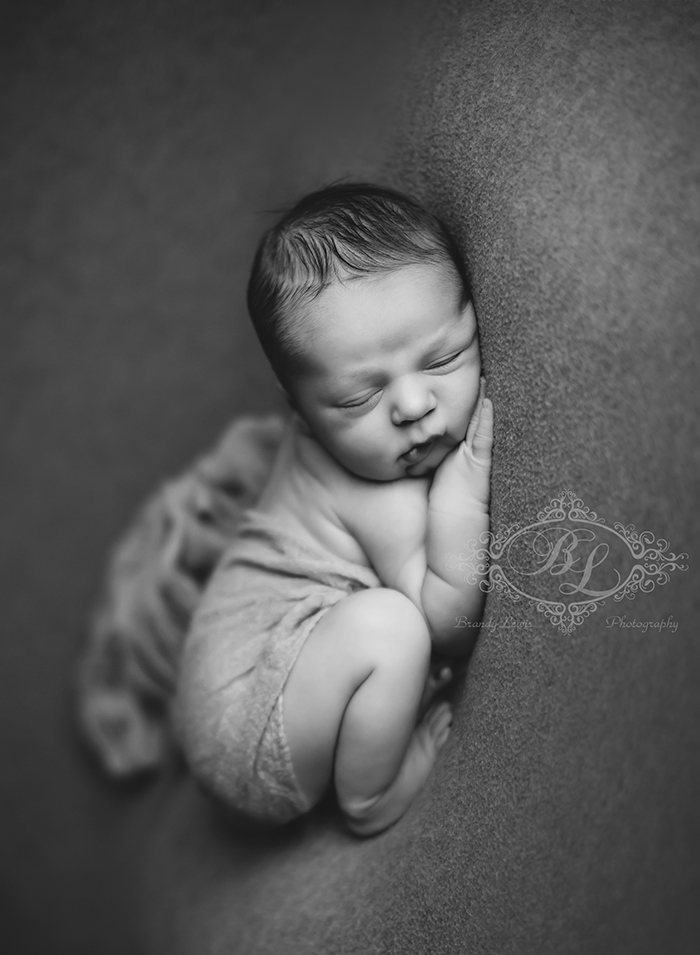 East Bay Area Newborn Baby Photographer