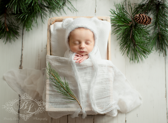 East Bay Area Newborn Baby Photographer