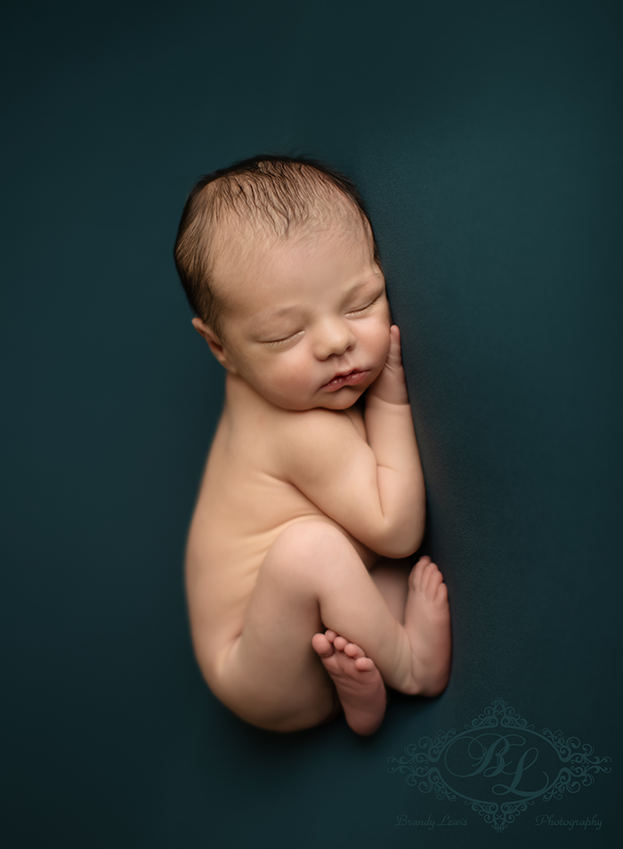 East Bay Area Newborn Baby Photographer