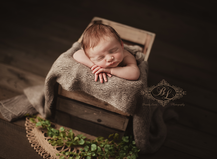 East Bay Area Newborn Baby Photographer