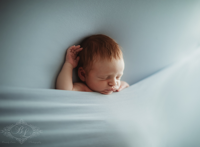 East Bay Area Newborn Baby Photographer