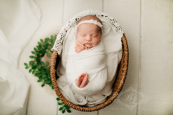 East Bay Newborn Baby Photographer