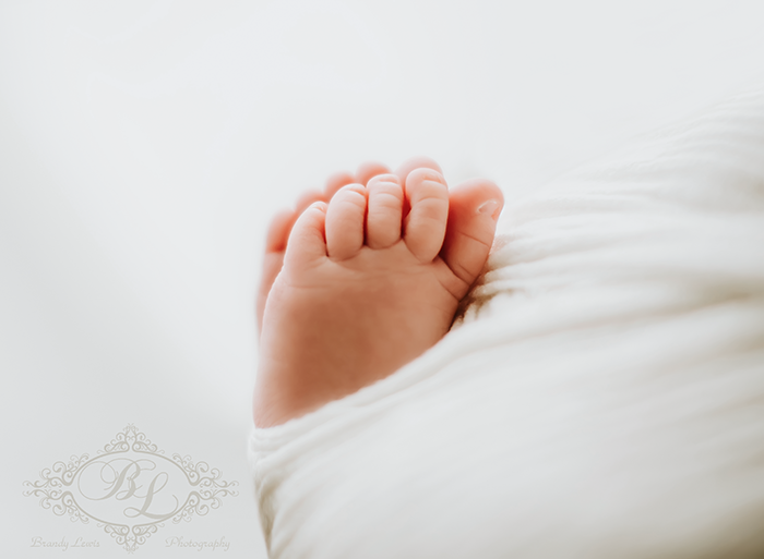 East Bay Newborn Baby Photographer