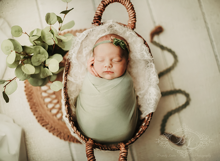 East Bay Newborn Baby Photographer
