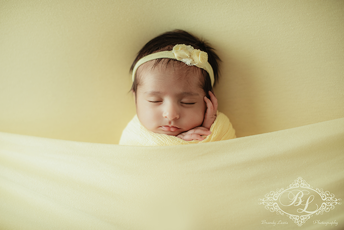 East Bay Newborn Baby Photographer