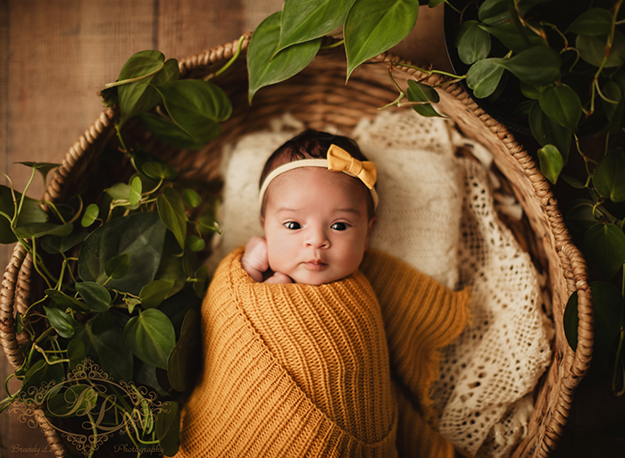 East Bay newborn baby photographer