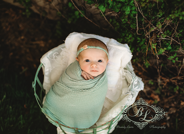 East Bay Newborn Baby Photographer