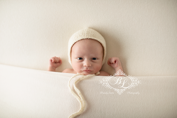 East Bay Newborn Baby Photographer