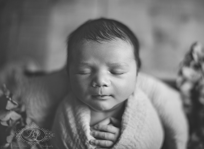 Timeless newborn photography session with neutral tones by Brandy Lewis Photography in the East Bay.