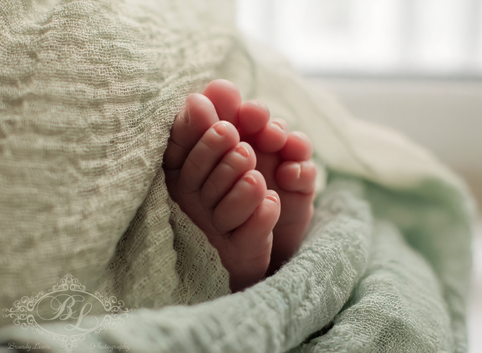 Timeless newborn photography session with neutral tones by Brandy Lewis Photography in the East Bay.
