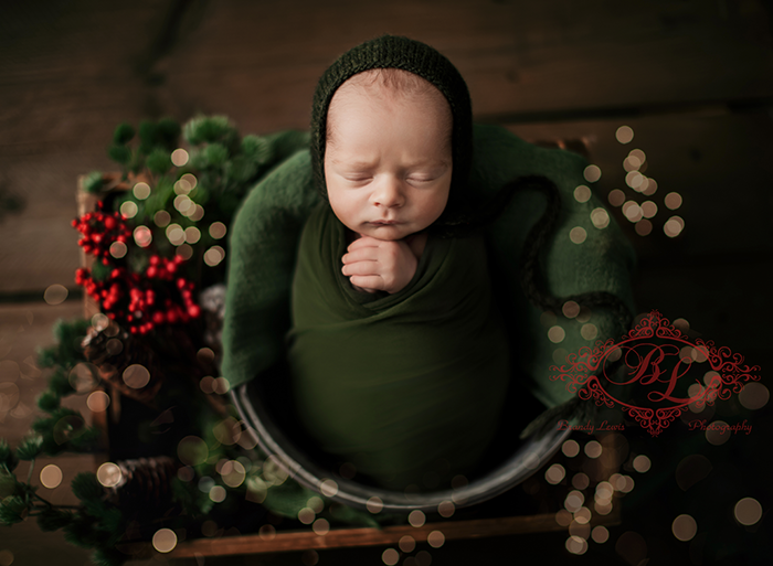 East Bay Newborn Baby Photographer